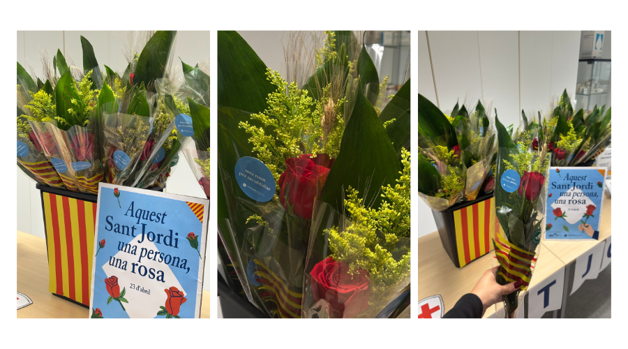 Sant Jordi